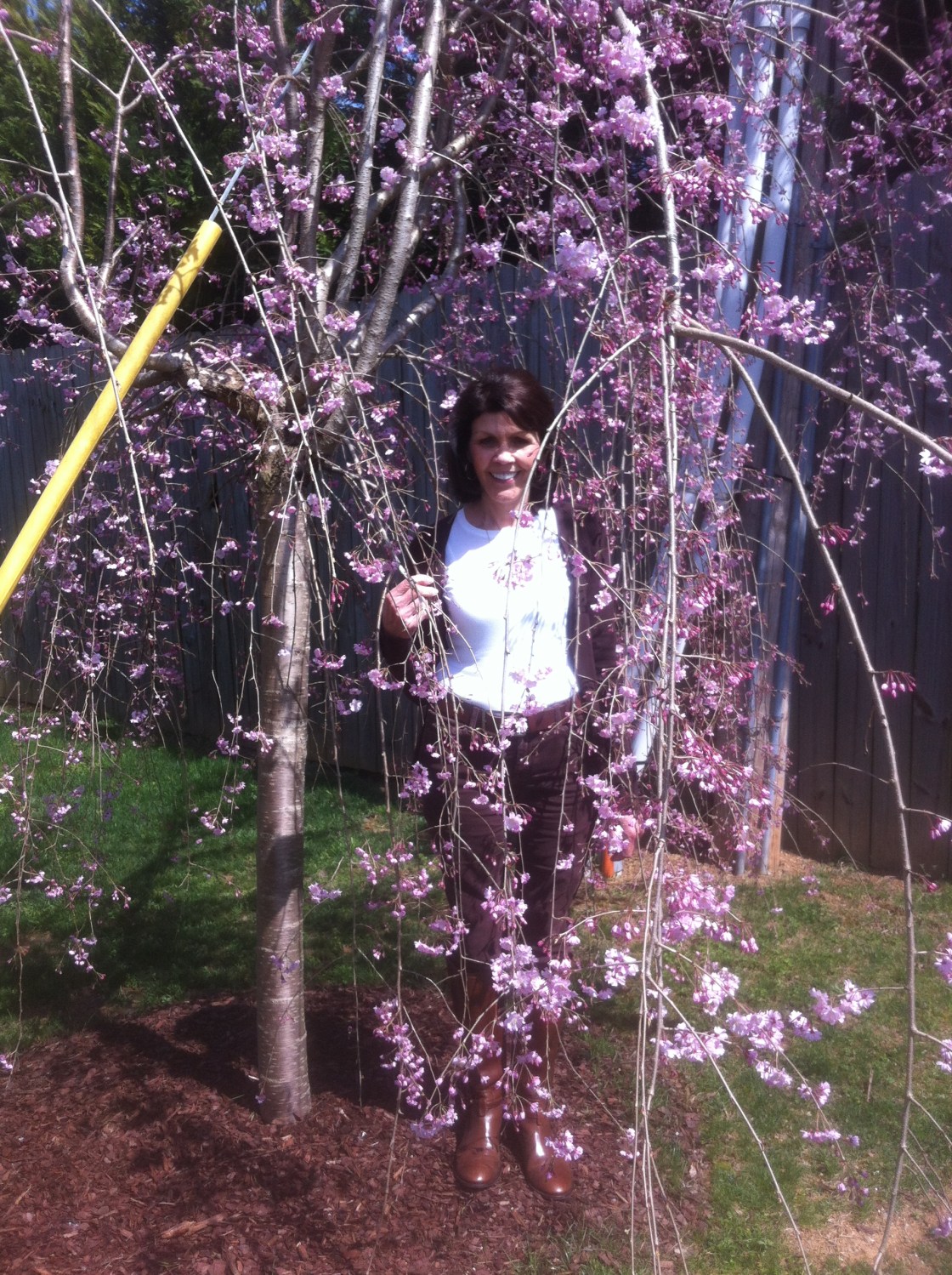 Resting in God’s&nbsp;Sovereignty