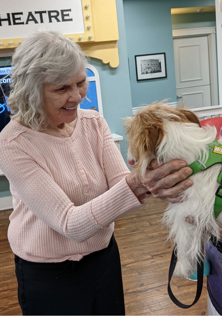 Fascinating Observations